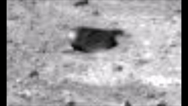 Опубликовано видео с гигантскими улитками на поверхности Марса