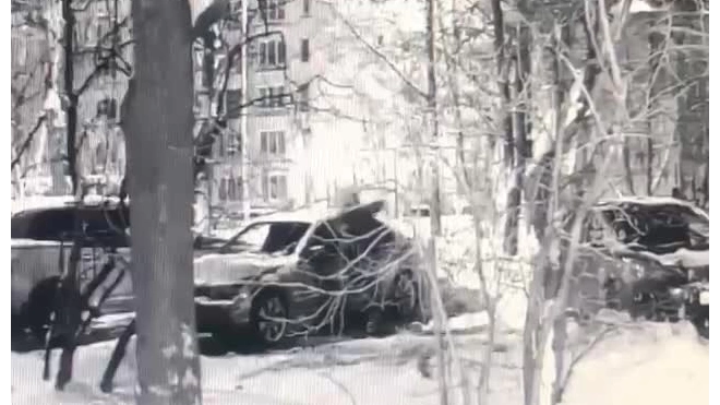 Петербуржец разбил окно BMW, похитил оттуда Iphone и спрятал его под деревом 