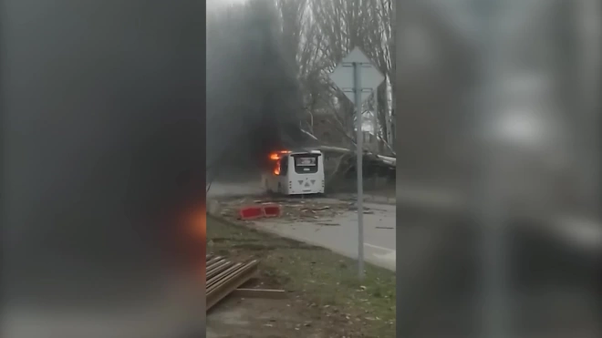 В Таганроге из-за рухнувшего дерева загорелся автобус с пассажирами