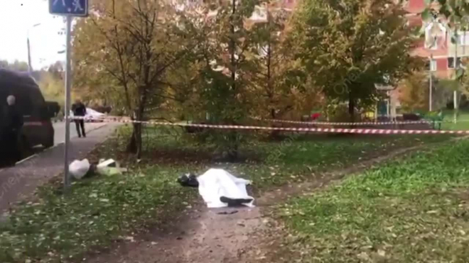 Следком опубликовал видео с места убийства следователя по особо важным делам Евгении Шишкиной