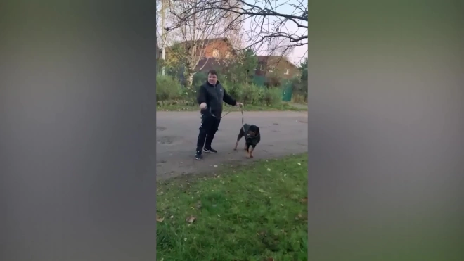 В Петербурге задержали мужчину, угрожавшего застрелить сотрудника полиции