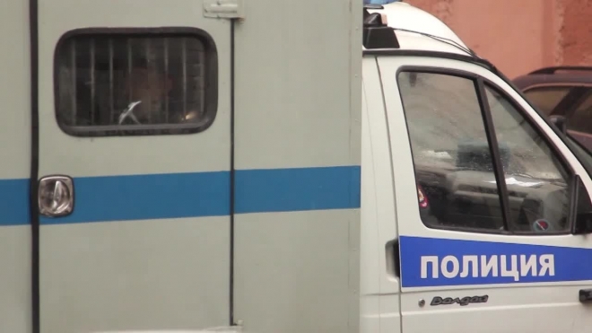 Пенсионер из Соснового Бора жестоко зарезал друга из-за нескольких ягод клубники