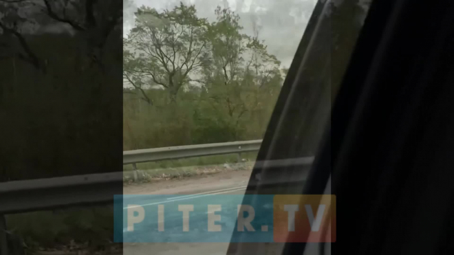 Видео: на Выборгском шоссе "девятка" попала под самосвал