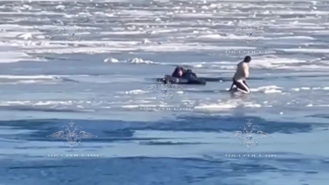 В Петербурге полицейский спас горожанина, который провалился под лед