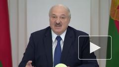 Лукашенко не намерен закрывать Белоруссию из-за коронавируса