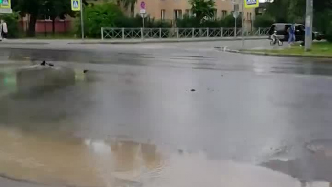 На улице Бабушкина посреди проезжей части "забил фонтан"