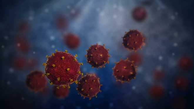 Пандемия коронавируса спасет человеческие жизни