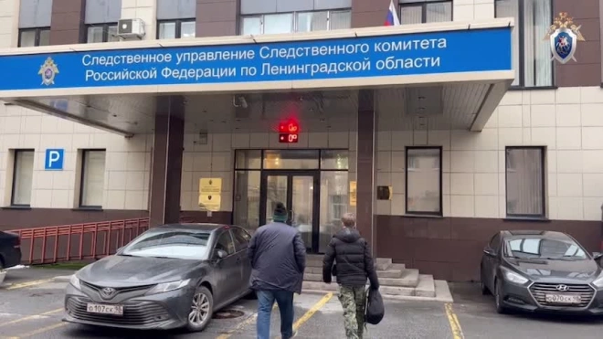 ФСБ раскрыла мошенническую схему в сфере лесопользования в Ленобласти