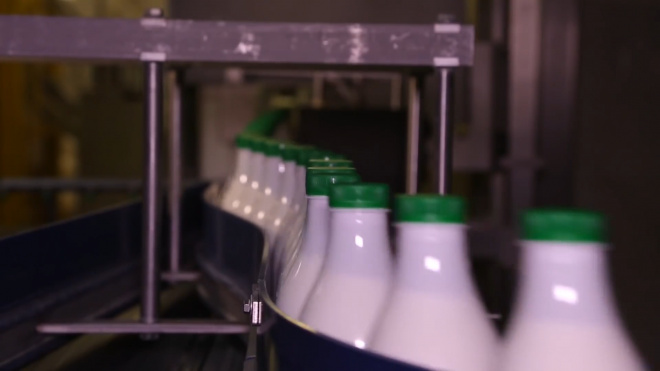 За первый квартал Роспотребнадзор снял с производства 19 тонн молока 