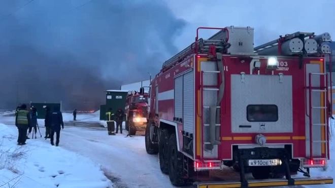 Пожар на производстве ацетона в Гатчине локализовали