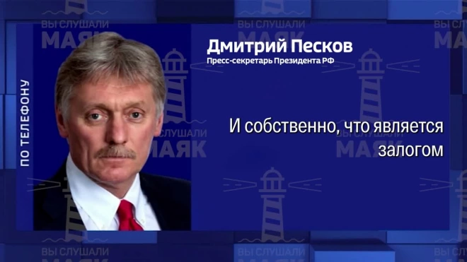 Песков: Кремль будет следить за выборами президента Белоруссии