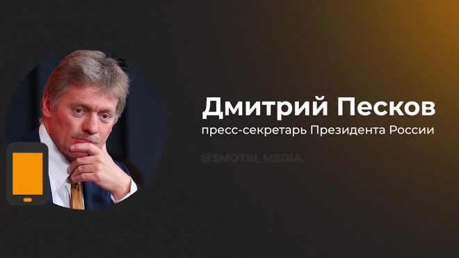 Песков заявил, что Путин сам захотел выйти к народу в Дербенте