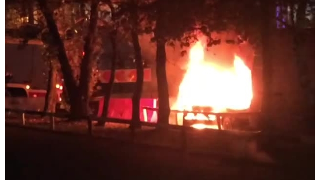 За ночь в Металлострое сгорели три садовых домика