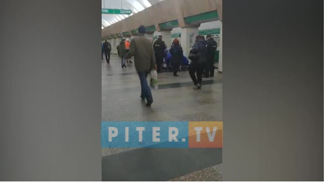 Утренний сбой поездов по "зеленой" ветке в метро вызван упавшим на рельсы петербуржцем