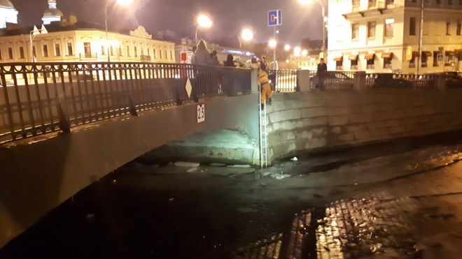 В Петербурге спасатели самоотверженно доставали кота из канала