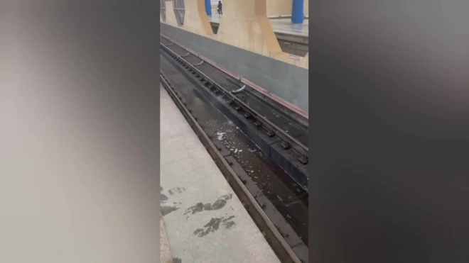 Пассажиры сообщили о затоплении на стации метро "Дунайская"
