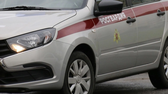 Росгвардейцы задержали проникшего в детский магазин на Ветеранов