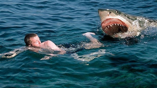 В ЮАР огромная акула напала на юношу и откусила ему ногу