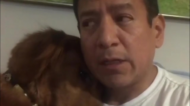 Знаменитая собака-обнимака из Нью-Йорка осталась из-за пожара без дома