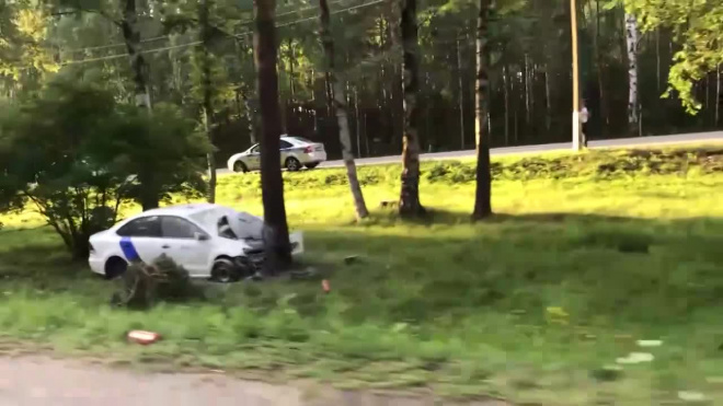 На Приморском шоссе каршеринг врезался в дерево