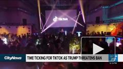 Трамп потребовал от владельцев TikTok продать приложение до 15 сентября