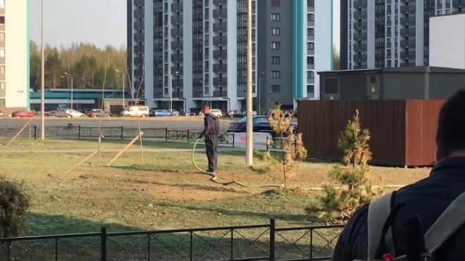 На Парашютной пробуют "жидкий газон": жители приняли смесь за зеленую краску