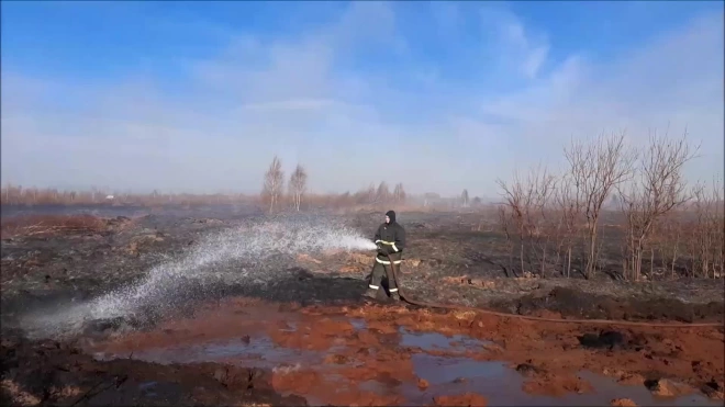 В Екатеринбурге за сутки потушили 10 очагов пожара на торфяниках