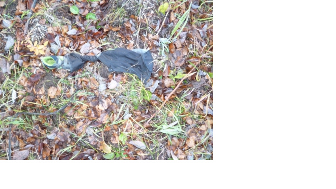 На Камчатке обнаружены одежда и останки 5-летнего ребенка, который пропал летом