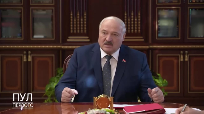 Лукашенко призвал Сербию разобраться в своем отношении к Белоруссии