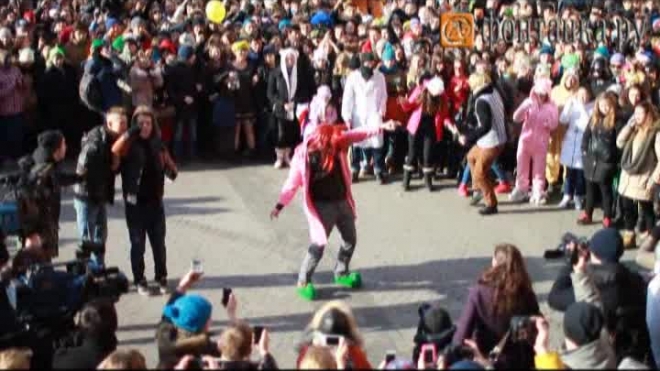 В Петербурге за Harlem Shake придется выложить 50 тысяч