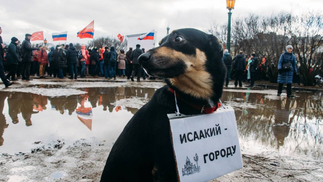 Видео: митинг в защиту Исаакия собрал 3000 человек и собаку