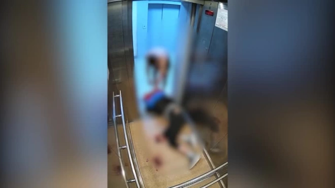 Полиция возбудила уголовное дело по факту избиения мужчины в лифте в Мурино