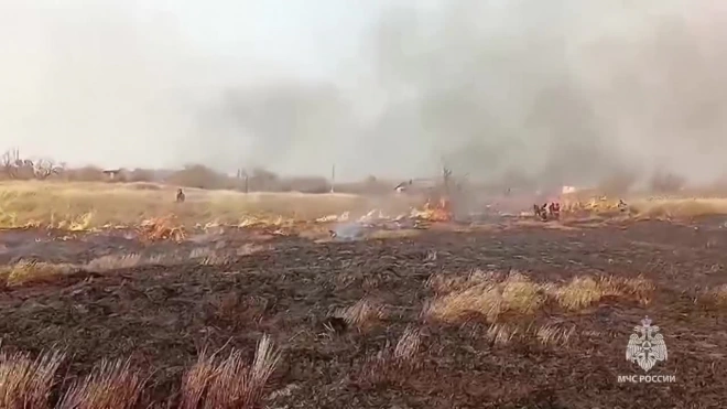 В Хабаровске загорелась трава на части Большого Уссурийского острова