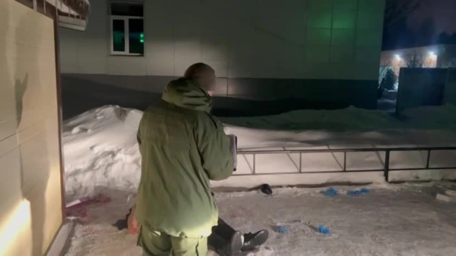 Житель Домодедово застрелил водителя скорой помощи ракетницей
