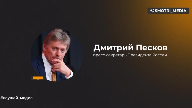 Песков: в графике Путина не планируется разговор с Трампом