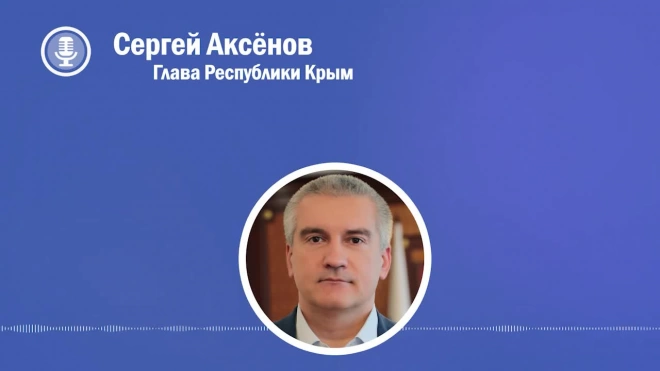 Аксенов: доход от национализации имущества в Крыму пойдет на поддержку участников СВО