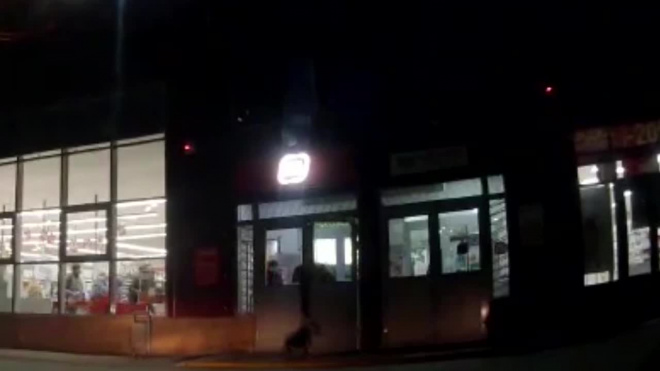 Видео: В Саратове бультерьер набросился на женщину с ребенком в магазине