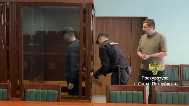 Петербуржец проведет 18 лет в колонии за жестокое убийство жены на глазах дочери