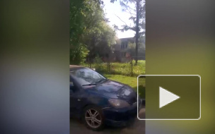 В Горелово загорелся заброшеный садик В Горелово загорелся заброшеный садик