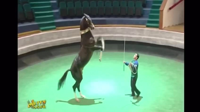 Президент Туркмении выступил в цирке на коне