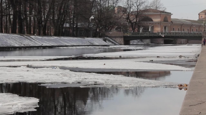 Тепло в Петербург придет на Пасху