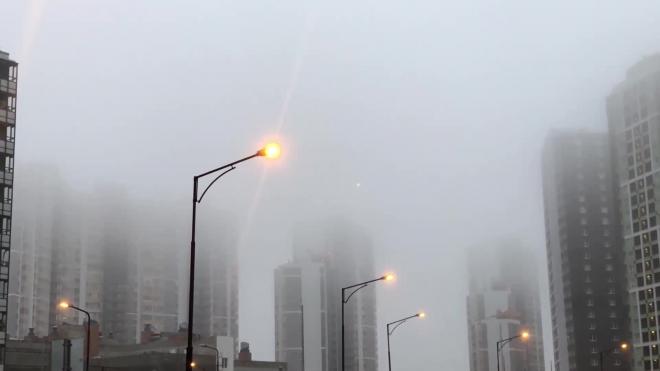 Петербург второй день подряд окутал туман