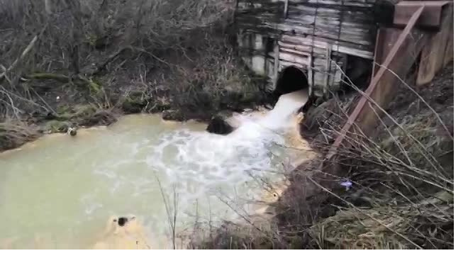 Экоактивисты нашли опасную концентрацию фосфора в ручье Верховском