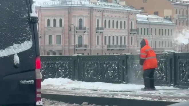 Бросавший снег с Литейного моста в Неву дворник уволен