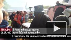 В Роспотребнадзоре оценили угрозу бубонной чумы для РФ