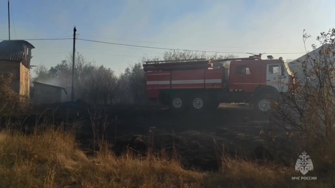 В Воронежской области локализовали ландшафтный пожар