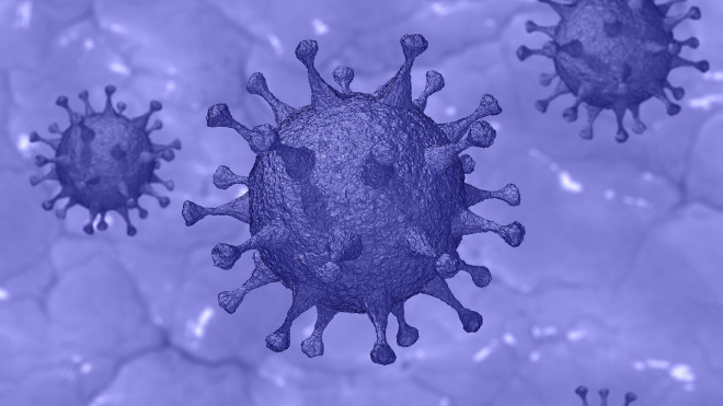 В России зафиксировано 11 656 новых случаев заражения коронавирусом