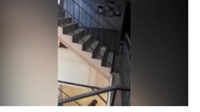 В колледже в Красном Селе обвалился потолок после подачи отопления