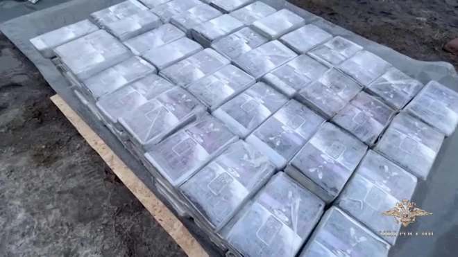 В Петербурге обнаружили более 200 кг кокаина из Латинской Америки