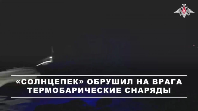 "Солнцепек" российских десантников нанес удар по пехоте ВСУ в Курской области